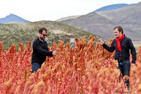 Fair Trade Quinoa Vodka: Ethically Sourced from Bolivian Andes Farmers