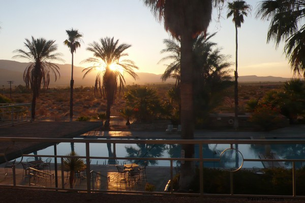 Discover Giant Prehistoric Sculptures and Playful Sheep in Borrego Springs