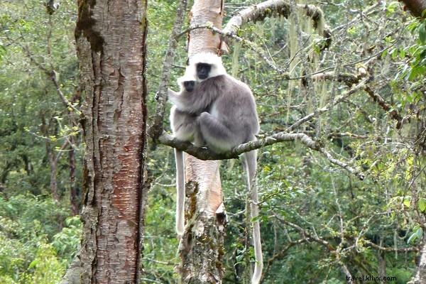 Unforgettable Bhutan Adventures: Textiles, Biking, and Himalayan Wonders