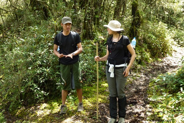 Unforgettable Bhutan Adventures: Textiles, Biking, and Himalayan Wonders