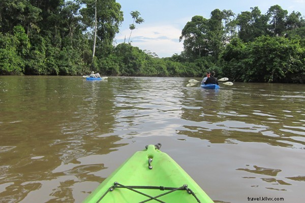 Volunteer in the Amazon: Protect Rainforests and Indigenous Communities with Pachamama Alliance