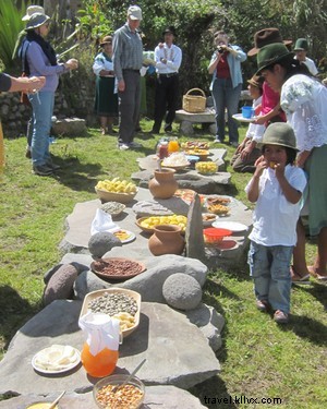 Volunteer in the Amazon: Protect Rainforests and Indigenous Communities with Pachamama Alliance