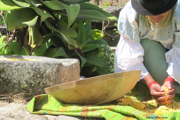 Volunteer in the Amazon: Protect Rainforests and Indigenous Communities with Pachamama Alliance