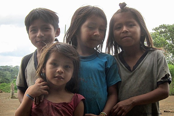 Volunteer in the Amazon: Protect Rainforests and Indigenous Communities with Pachamama Alliance