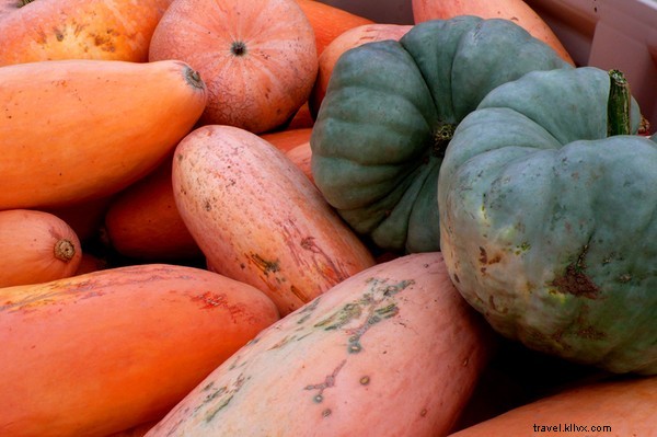 Extreme Pumpkin Chunkin : Thrilling Autumn Adventures in Spokane and Delaware