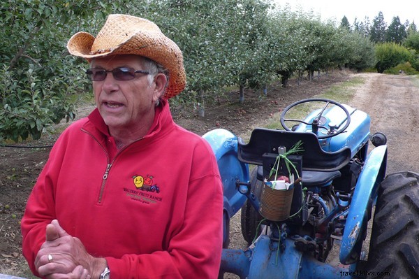 Extreme Pumpkin Chunkin : Thrilling Autumn Adventures in Spokane and Delaware