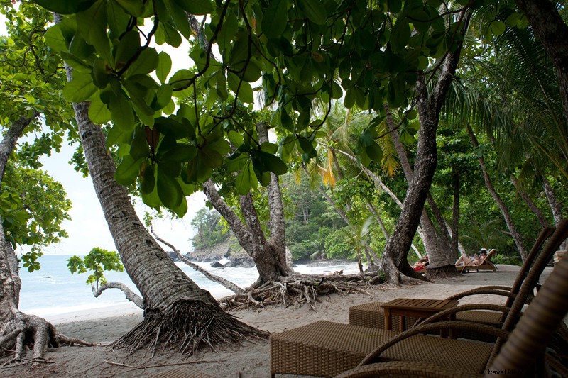 The World is Your Oyster: Top Beach Hotels in the US & Caribbean