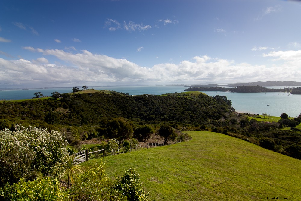 Culinary Highs Down Under: Unforgettable Food Adventures in New Zealand