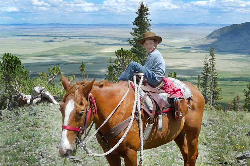 An 8-Year-Old s Forever Best Friend: Heartwarming Bond with Horse Richard