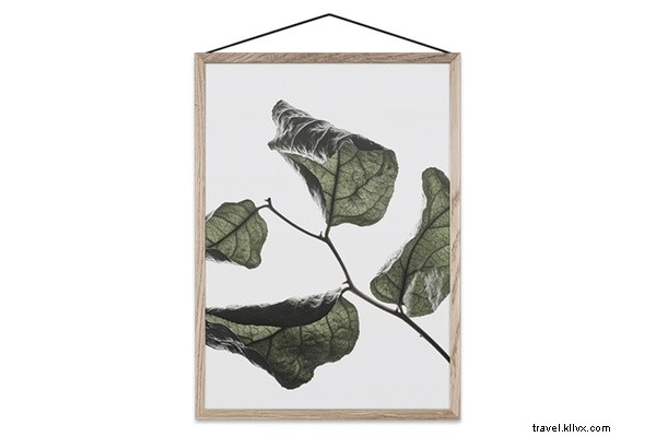 Must-Love Travel Finds: Our Top Picks This Month - Vol. 11