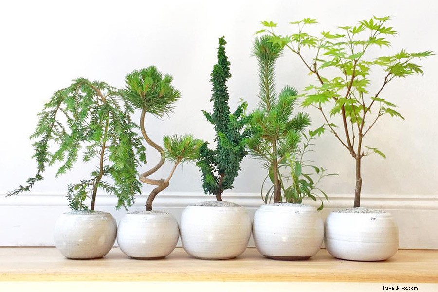 Top Travel Finds We re Obsessed With This Month - Vol. 10