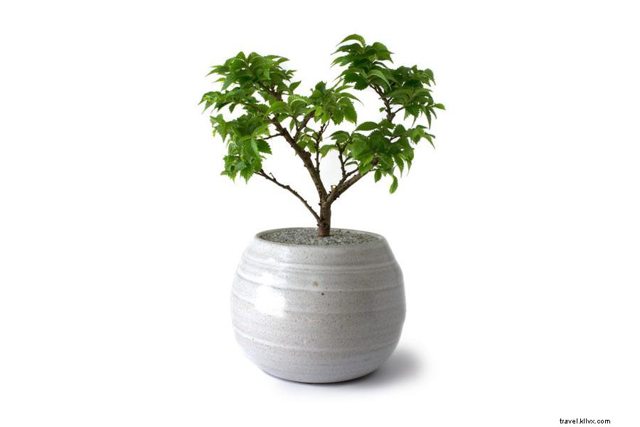 Top Travel Finds We re Obsessed With This Month - Vol. 10