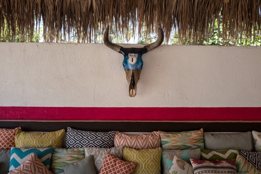 Todos Santos: Mexico s Best-Kept Secret Paradise – How Long Will It Last?