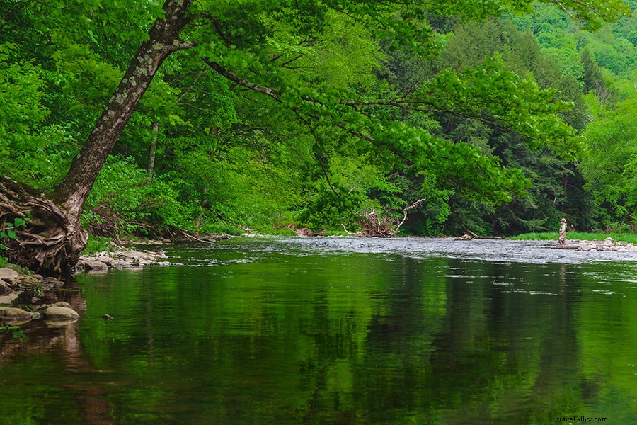 Discover the Timeless Joys of Fly Fishing in New York s Catskill Mountains