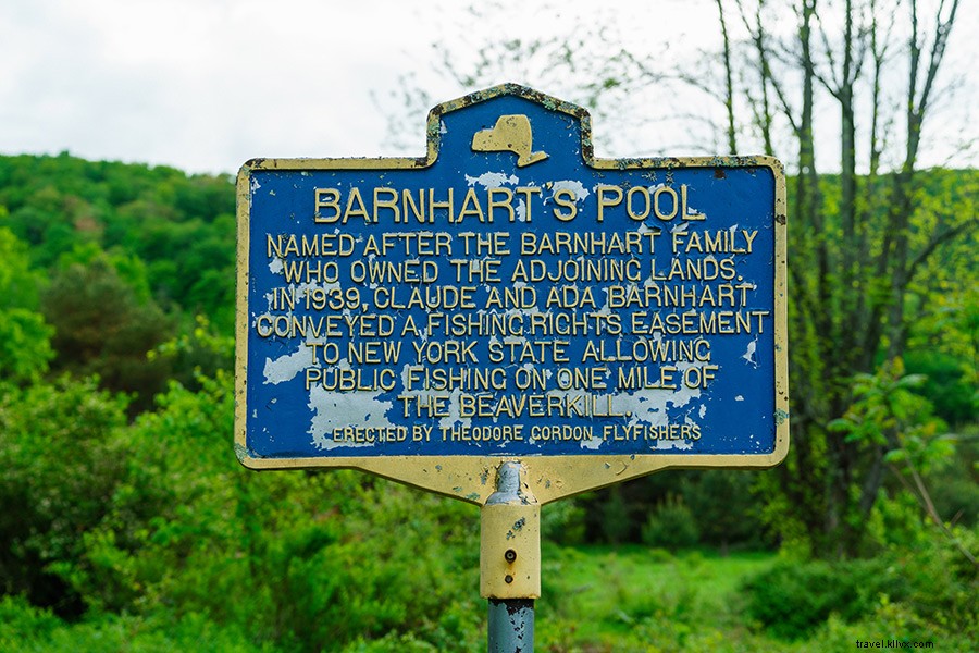 Discover the Timeless Joys of Fly Fishing in New York s Catskill Mountains