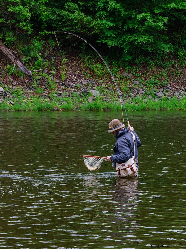 Discover the Timeless Joys of Fly Fishing in New York s Catskill Mountains