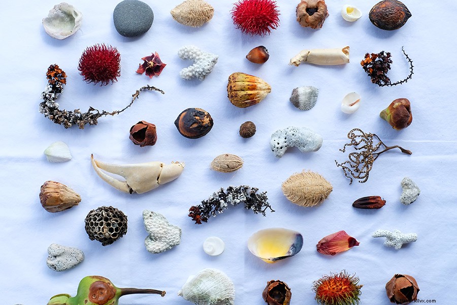 Emily Nathan s Stunning Photography Adventure in Tahiti and Mo’orea