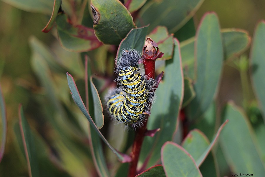 Mastering Marriage: Conquering Challenges One Mountain at a Time