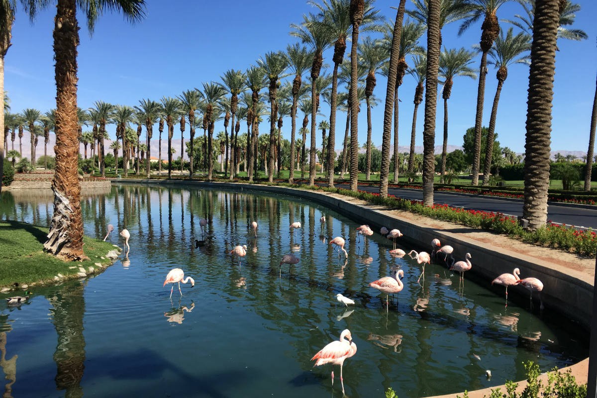 Babes Ride Out: West Coast s Largest All-Women Motorcycle Adventure in Joshua Tree