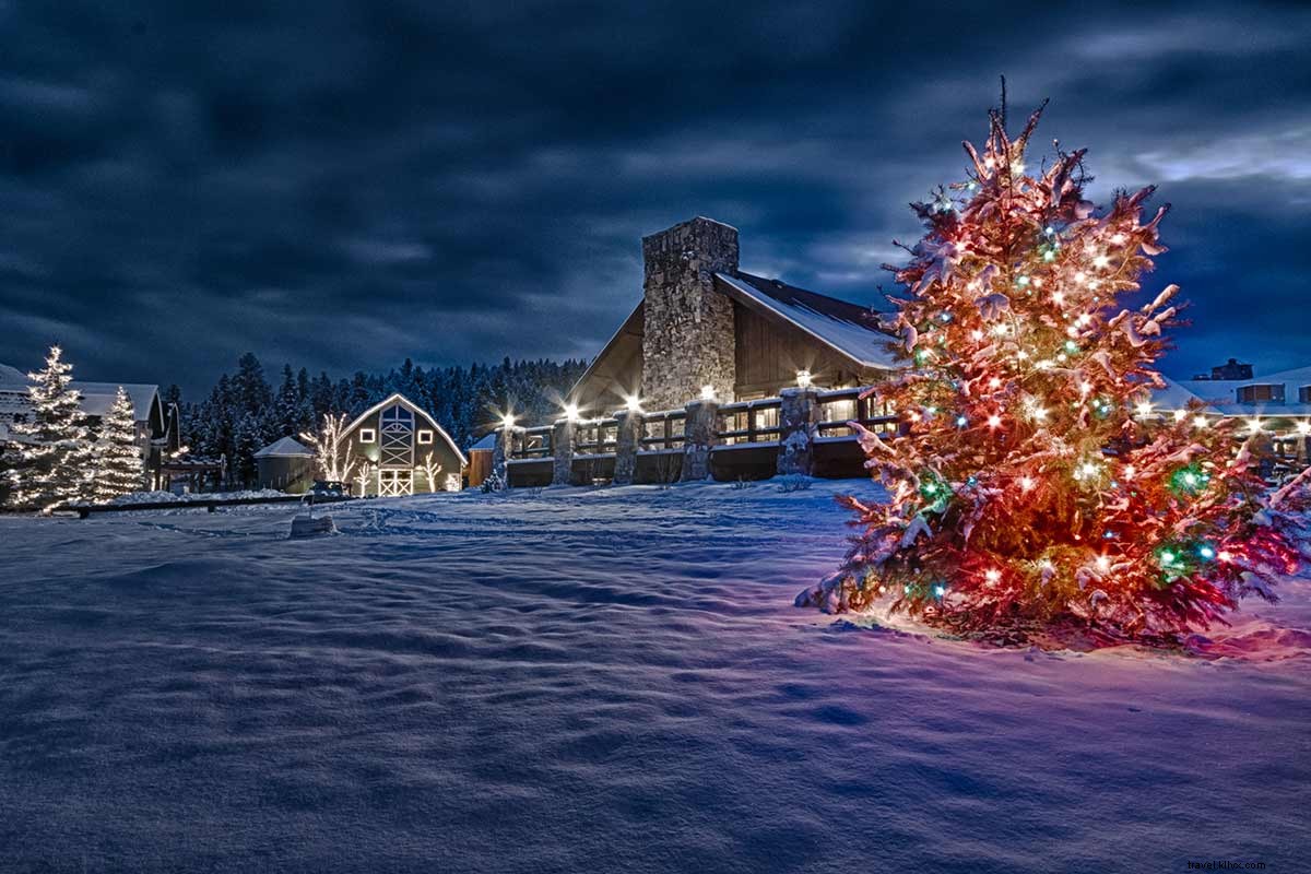 7 Epic Winter Adventures in the USA: Safaris, Skiing & More