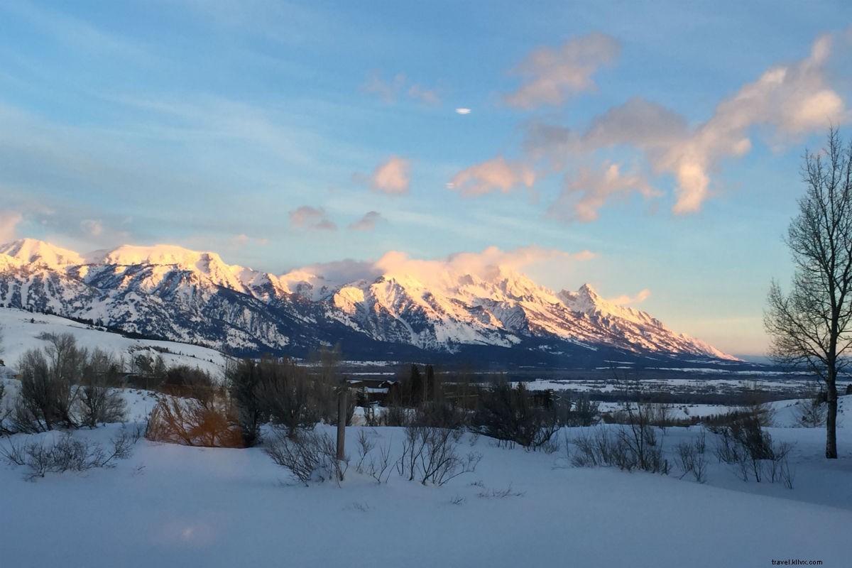 7 Epic Winter Adventures in the USA: Safaris, Skiing & More