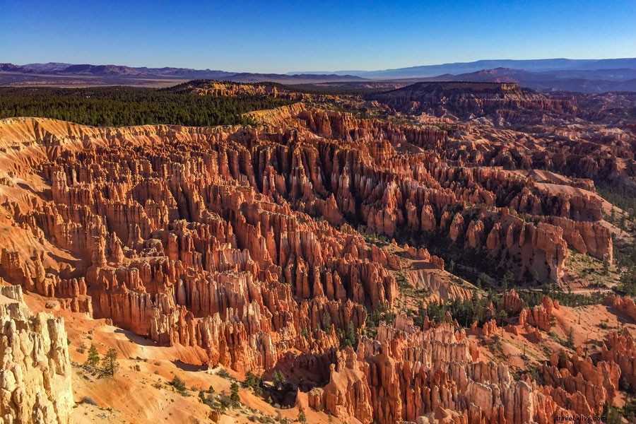 Discover Utah s Epic Dirt Trails: Adventure Awaits in the Beehive State