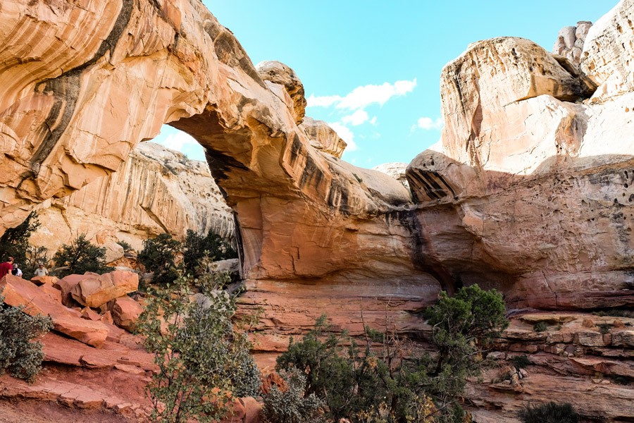 Discover Utah s Epic Dirt Trails: Adventure Awaits in the Beehive State
