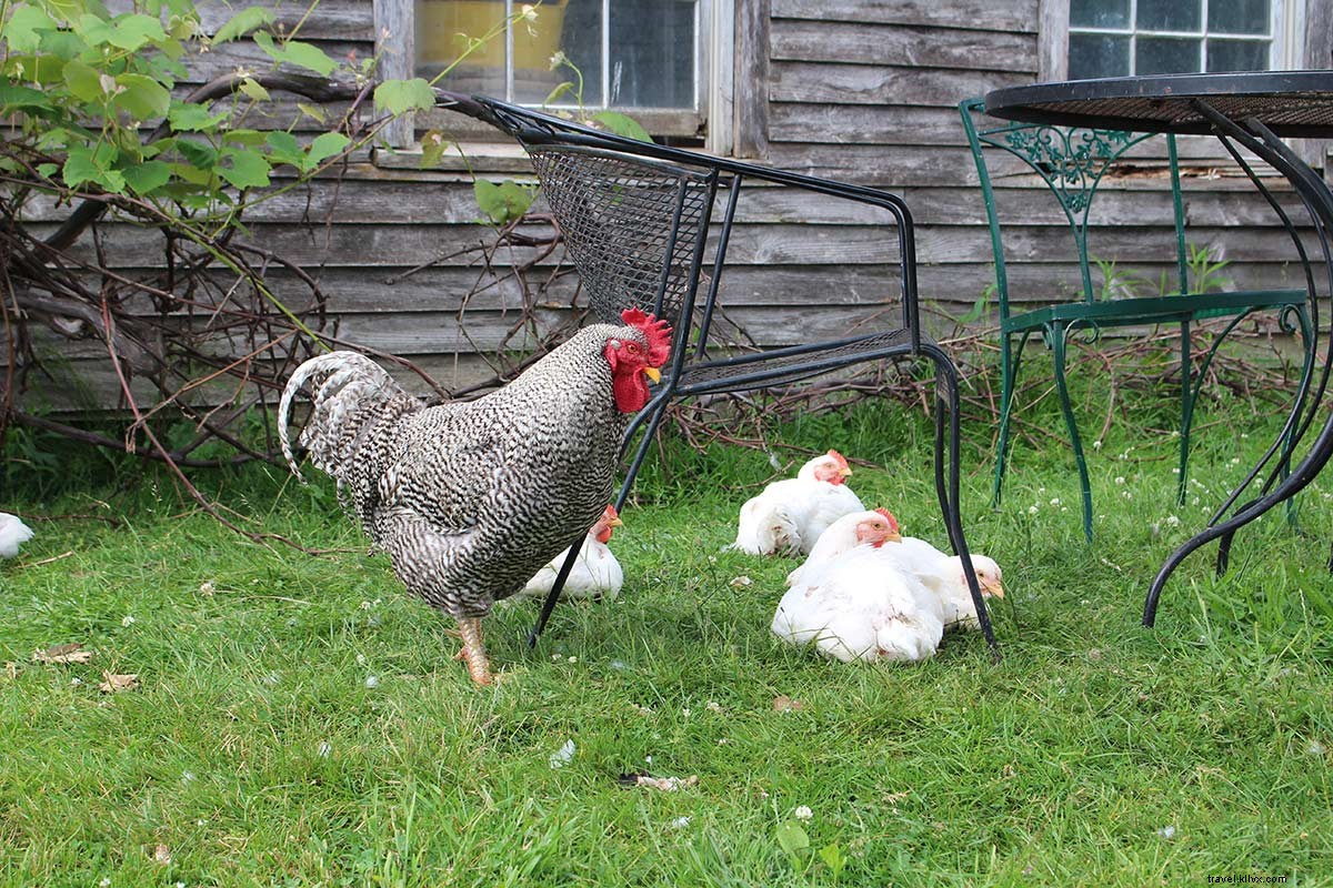 Discover a Summer s Worth of New England Charm on Maine s Kennebunk Coast