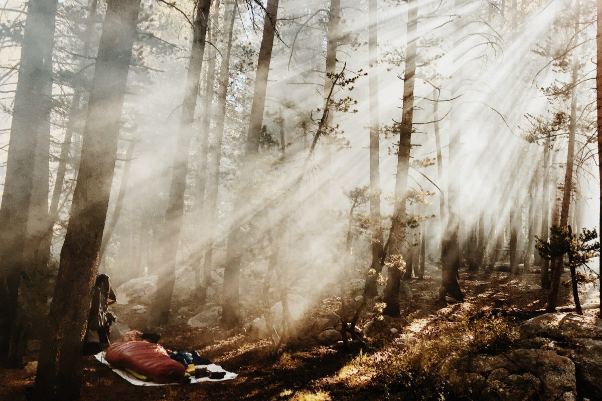 1,600 Miles In: Best Friends  Gripping Dispatch from the Pacific Crest Trail