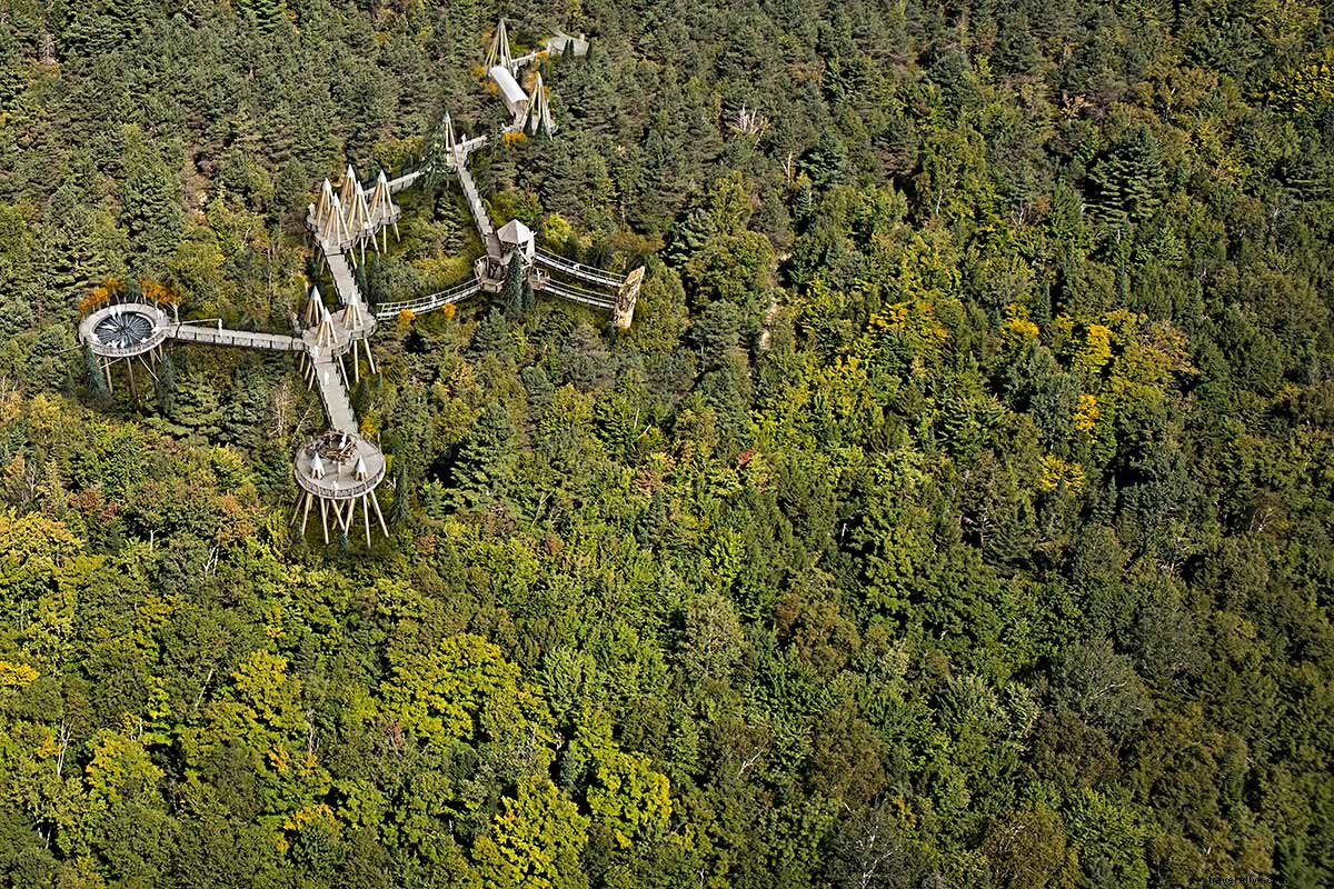 Elevated Treetop Walk: Exploring the Adirondacks Forests Near Lake Placid