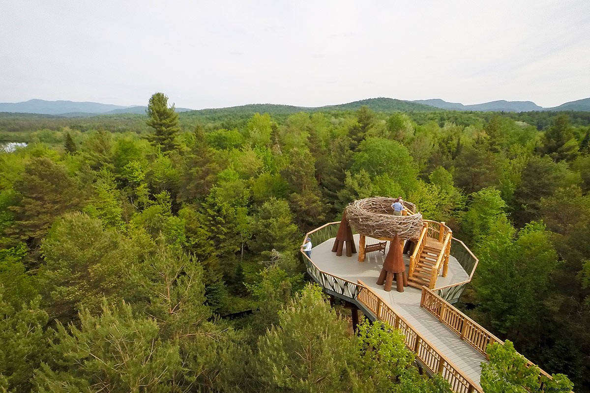 Elevated Treetop Walk: Exploring the Adirondacks Forests Near Lake Placid