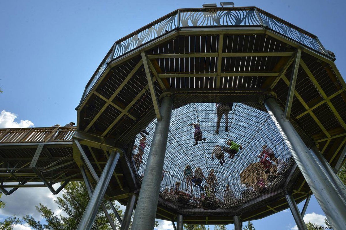 Elevated Treetop Walk: Exploring the Adirondacks Forests Near Lake Placid