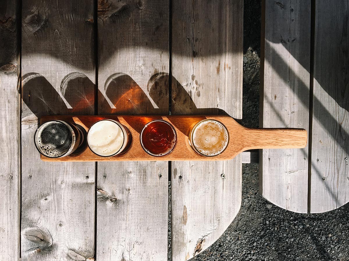 Elevated Treetop Walk: Exploring the Adirondacks Forests Near Lake Placid