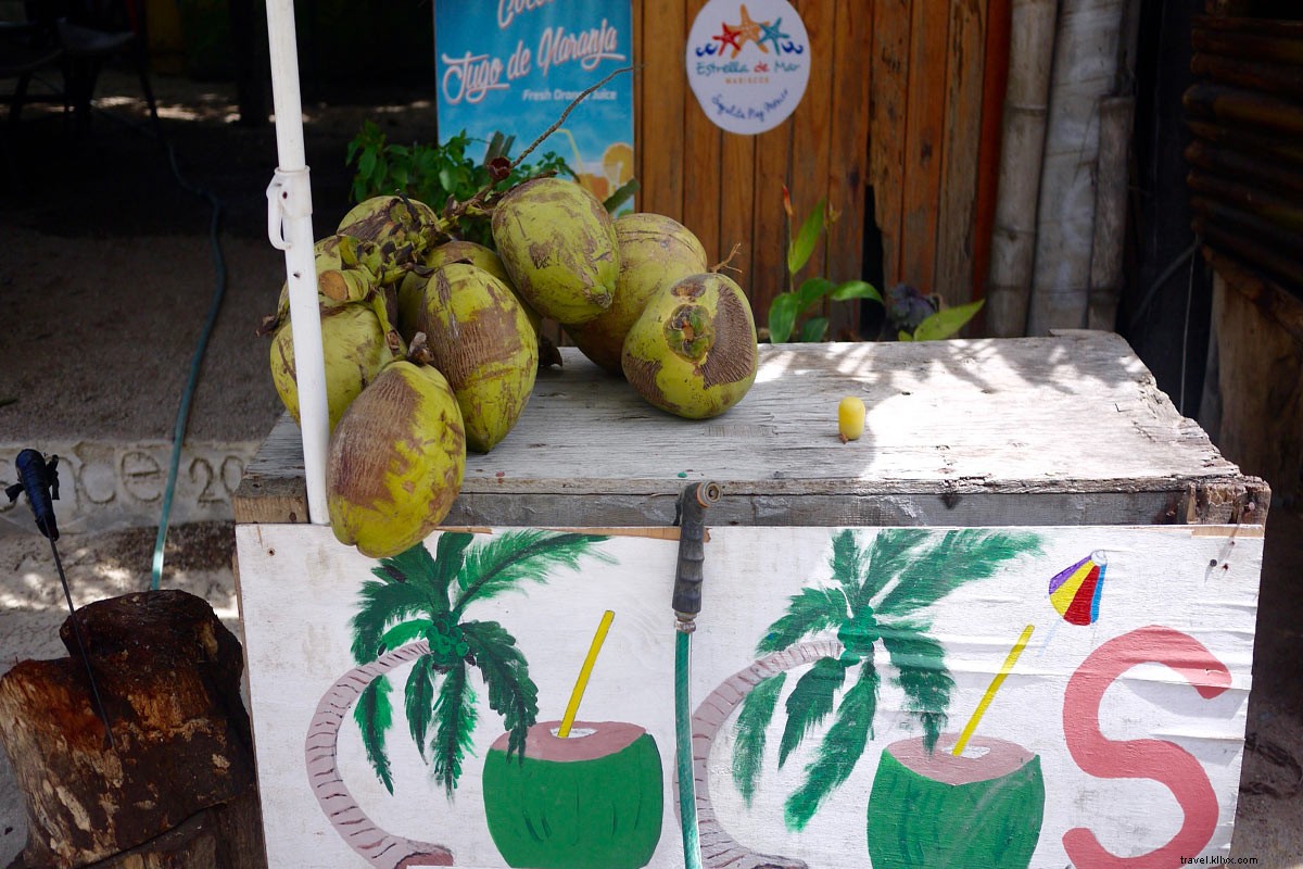Discover Sayulita: Mexico s Rising Hippie Haven Surpassing Tulum