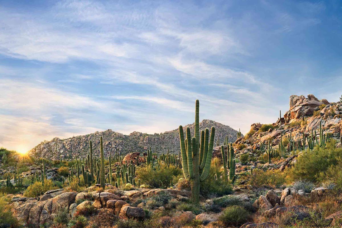 Scottsdale: Daily Desert Escapes in Arizona s Sonoran Paradise