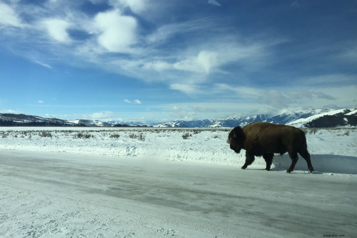 You ve Got Time for One Last Thrilling Run at Jackson Hole