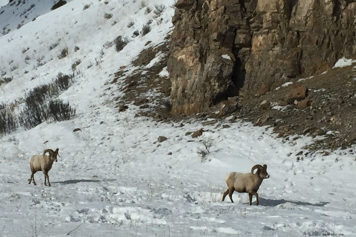 You ve Got Time for One Last Thrilling Run at Jackson Hole