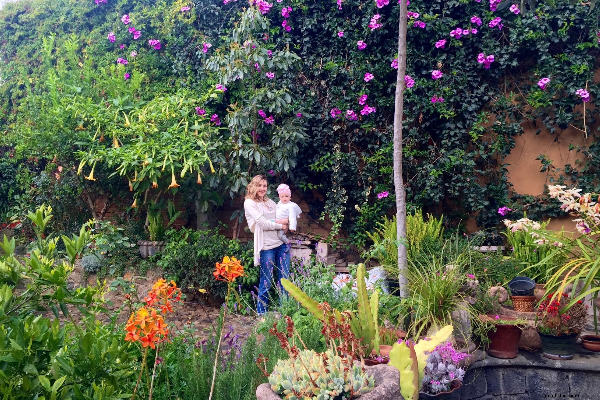 Enchanting Mexican Road Trip: San Miguel de Allende to Zihuatanejo via Patzcuaro