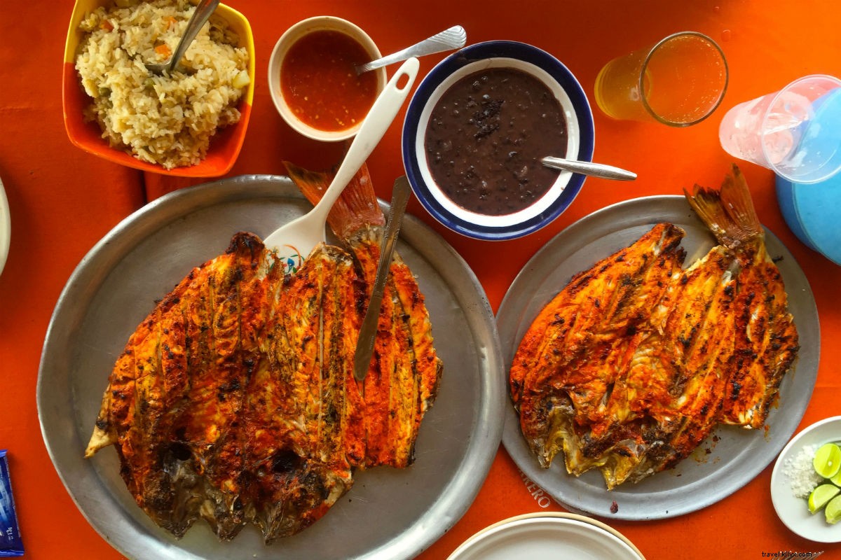 Enchanting Mexican Road Trip: San Miguel de Allende to Zihuatanejo via Patzcuaro