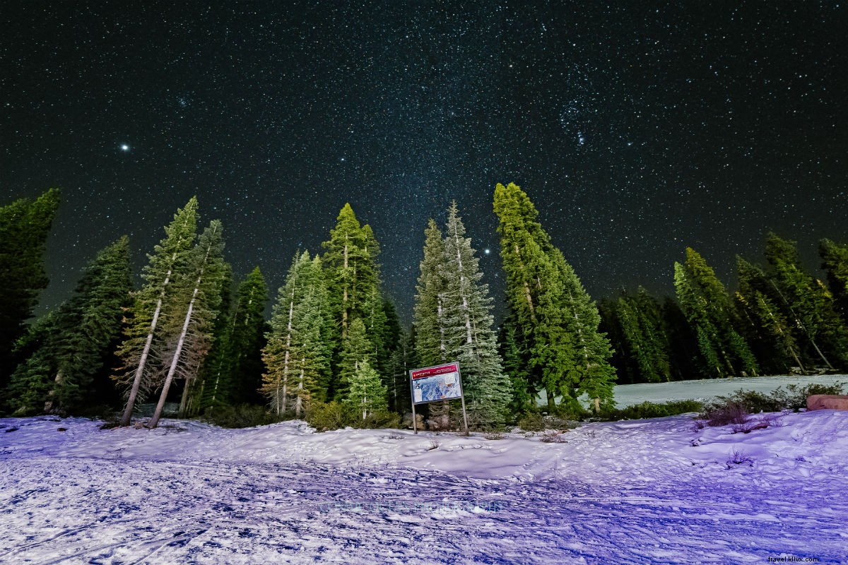 Lake Tahoe Winter Fun Without Skis: Snowshoe, Sled & Play in the Snow