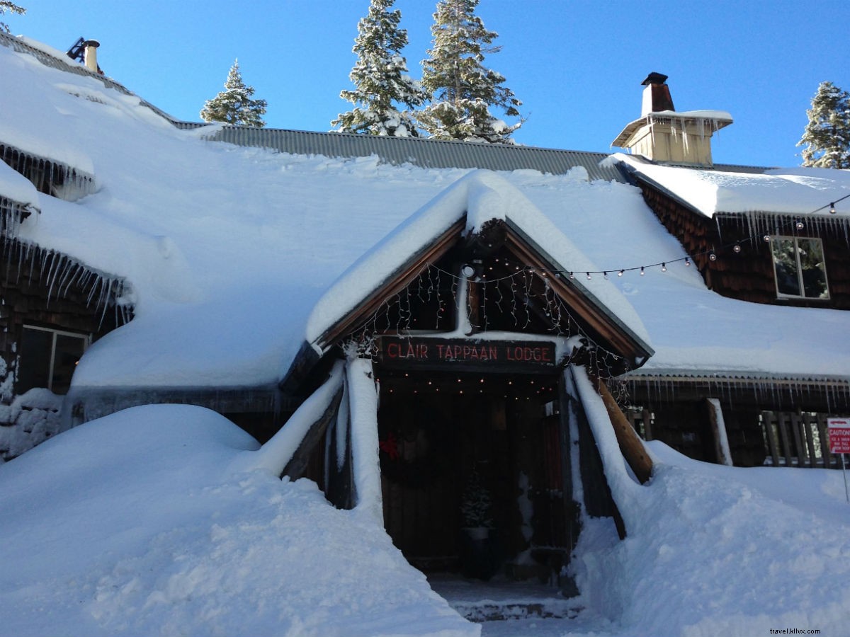 Lake Tahoe Winter Fun Without Skis: Snowshoe, Sled & Play in the Snow