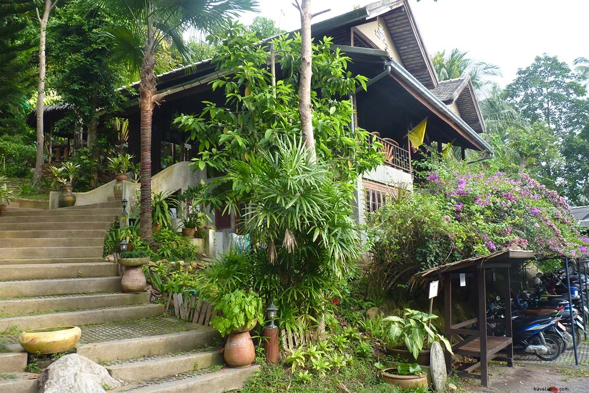 Returning to Koh Samui s No-Frills Thai Spa: Life-Changing Radical Detox Adventures