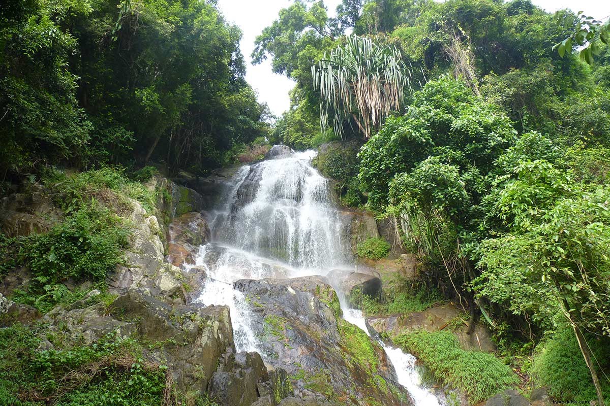 Returning to Koh Samui s No-Frills Thai Spa: Life-Changing Radical Detox Adventures