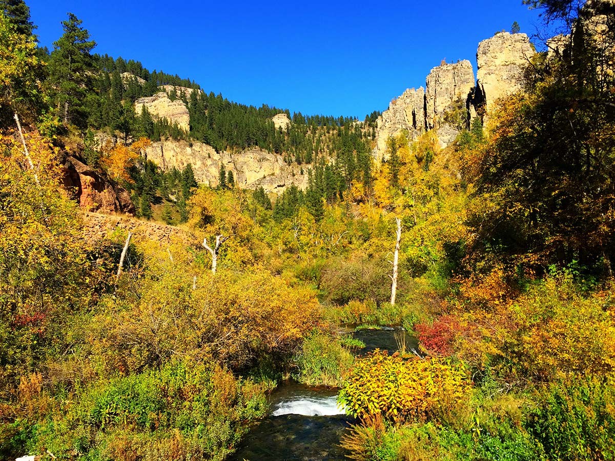 Discover the Good Life in South Dakota s Black Hills: Hiking Trails, Peaks & Buffalo