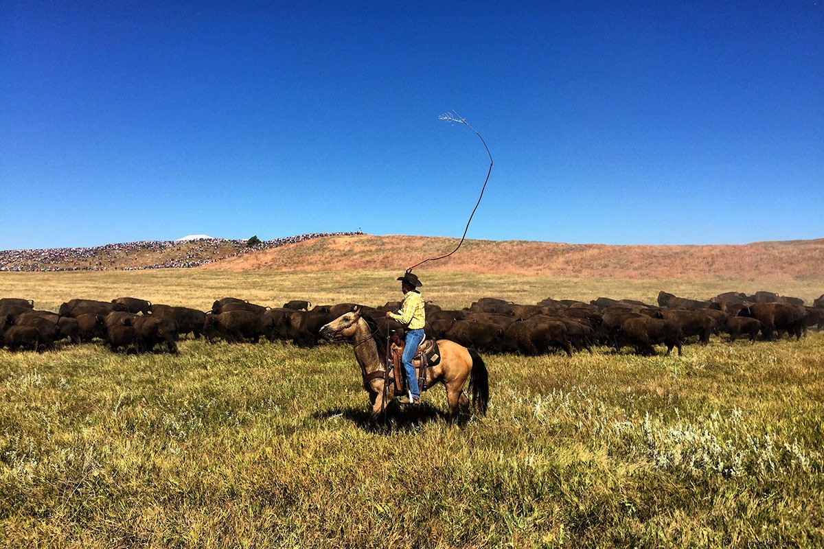Discover the Good Life in South Dakota s Black Hills: Hiking Trails, Peaks & Buffalo