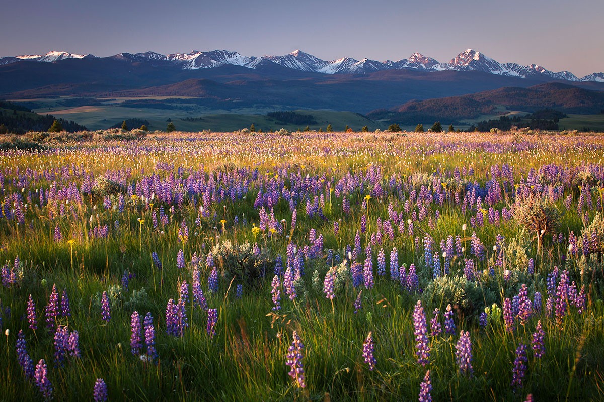 Luxury All-Inclusive Escape: The Ranch at Rock Creek, Montana