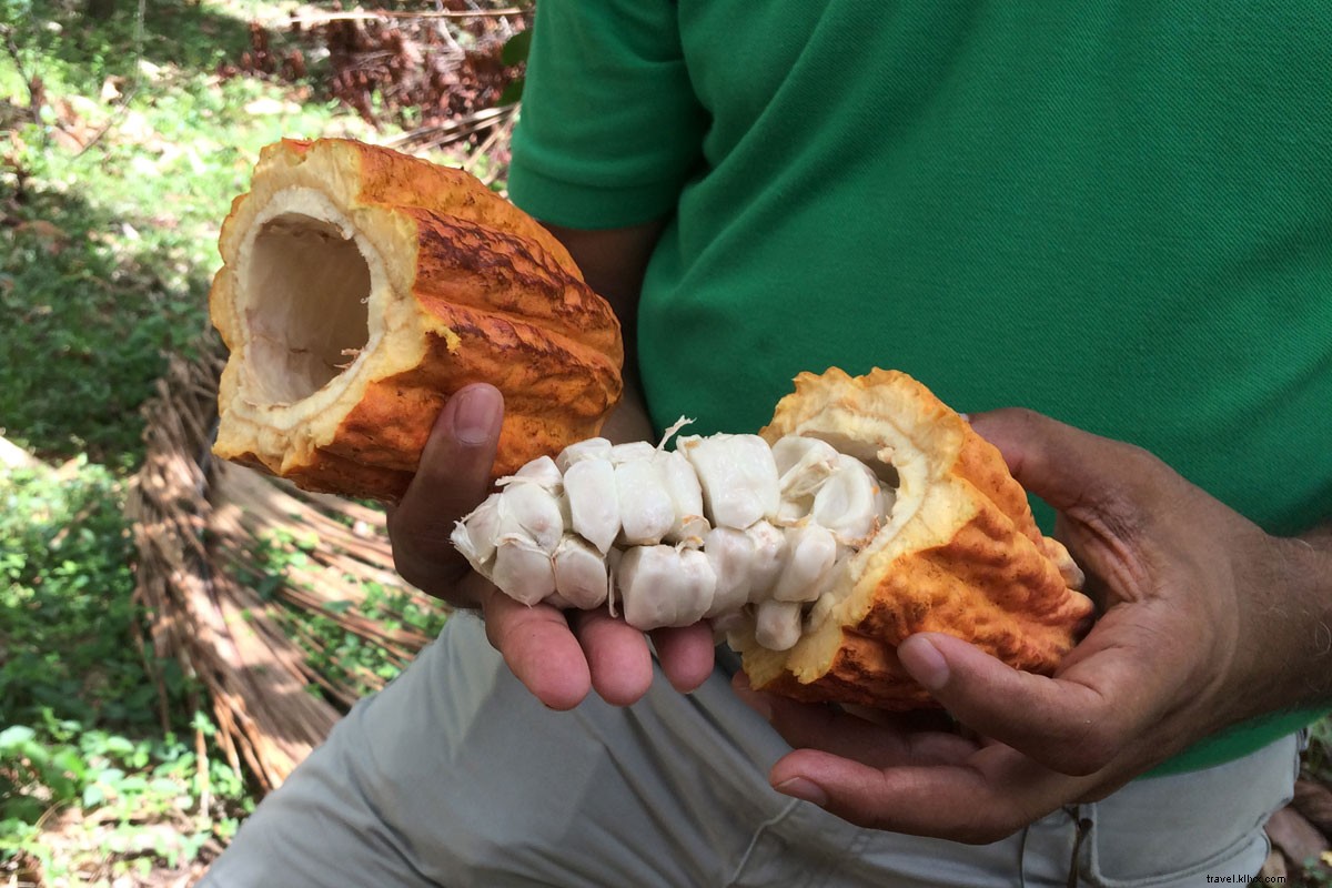 Saint Lucia: No True Off-Season – Year-Round Caribbean Paradise Awaits