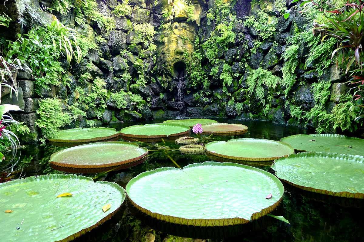 Discover Volcanic Ischia: The Ultimate Alternative to Crowded Capri