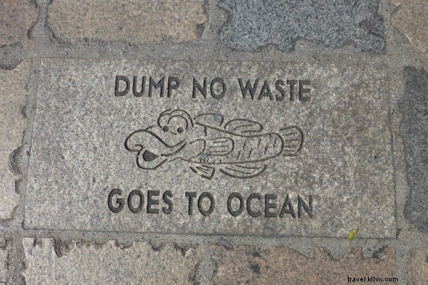 Honolulu Fashion Idyll: Tropical Paradise Meets Haute Couture