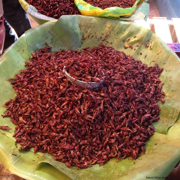 Puerto Escondido for Non-Surfers: Mexico s Surf Mecca Beyond the Waves